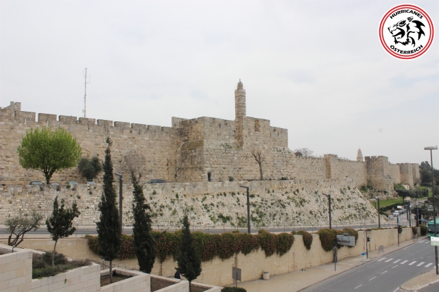 israel - oesterreich 24.3.2019 49